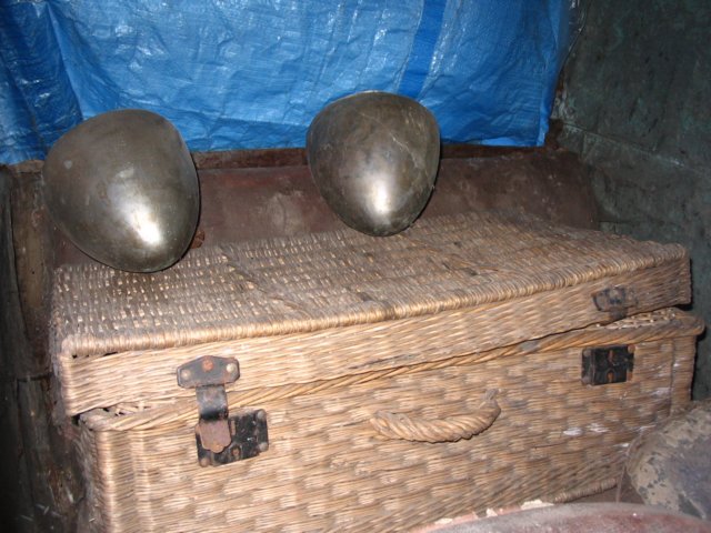 Photograph